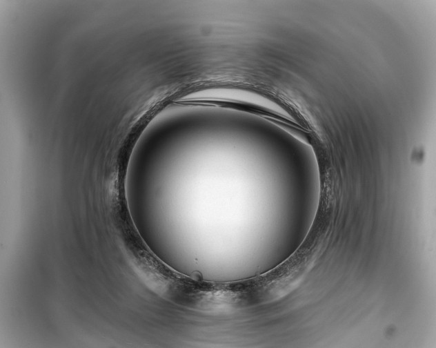 X0000099420212200805161053