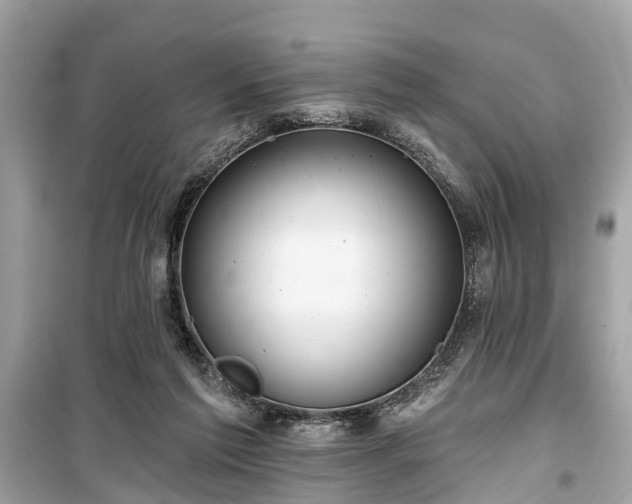 X0000099420213200805161053