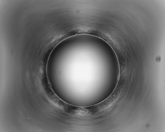 X0000099420215200805161053