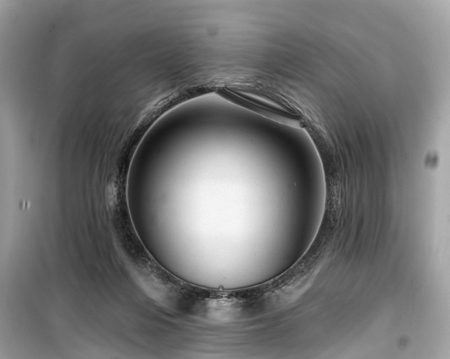 X0000099420216200805161053