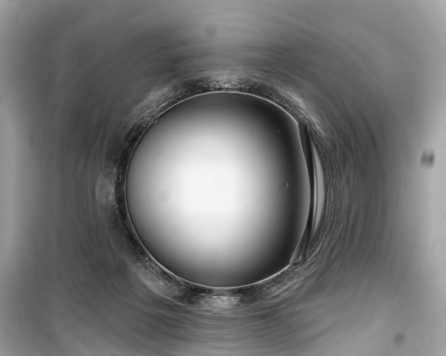 X0000099420217200805161053