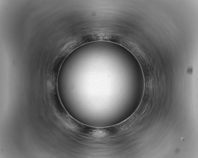 X0000099420218200805161053
