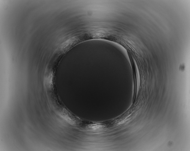 X0000099420219200805161053