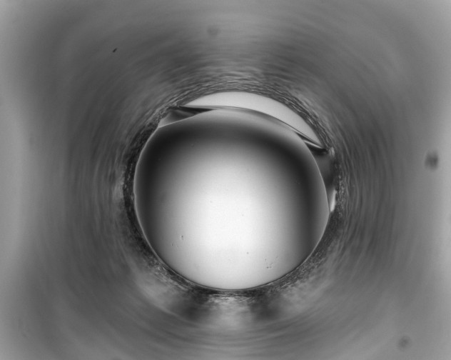 X0000099420221200805161053