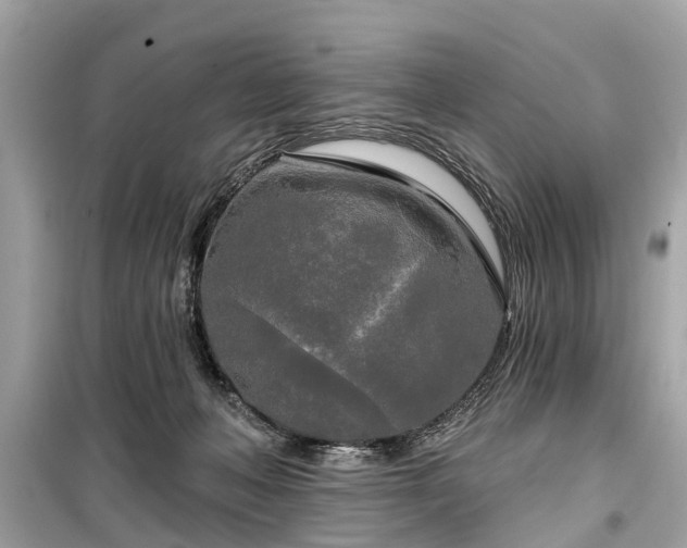 X0000099420222200805161053