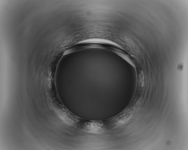 X0000099420223200805161053