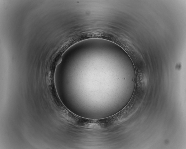 X0000099420224200805161053