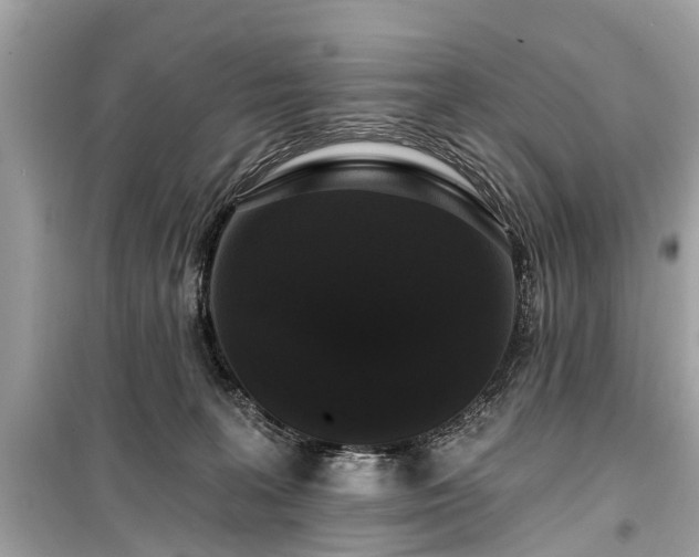 X0000099420227200805161053