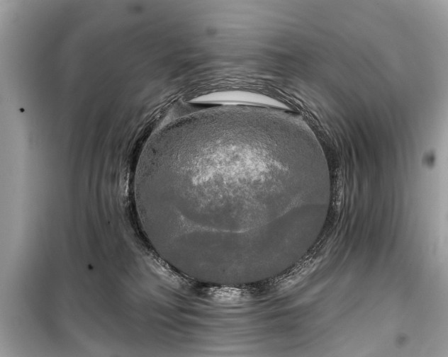 X0000099420230200805161053