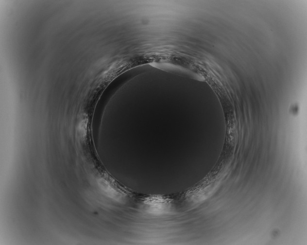 X0000099420231200805161053