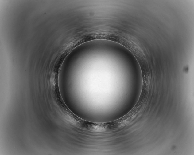 X0000099420232200805161053