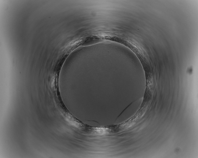 X0000099420233200805161053