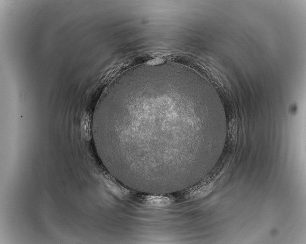 X0000099420234200805161053