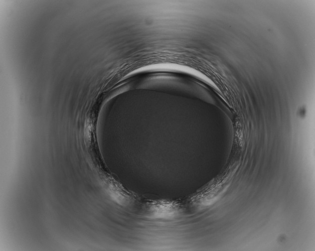 X0000099420235200805161053