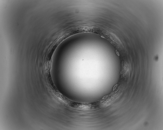 X0000099420236200805161053