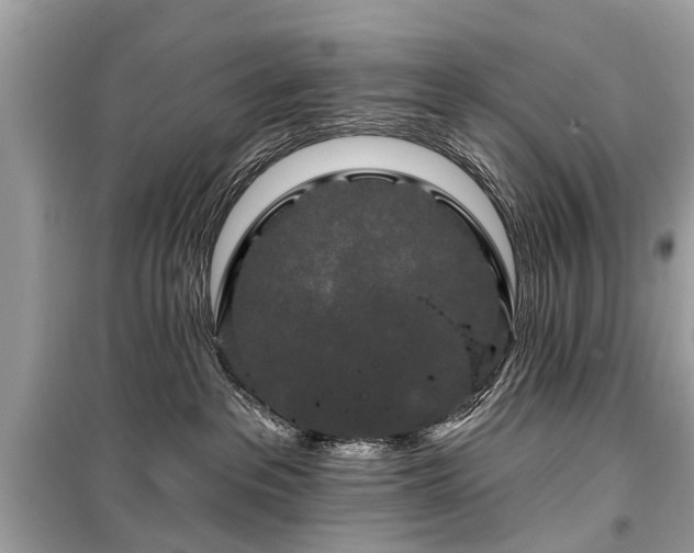 X0000099420237200805161053