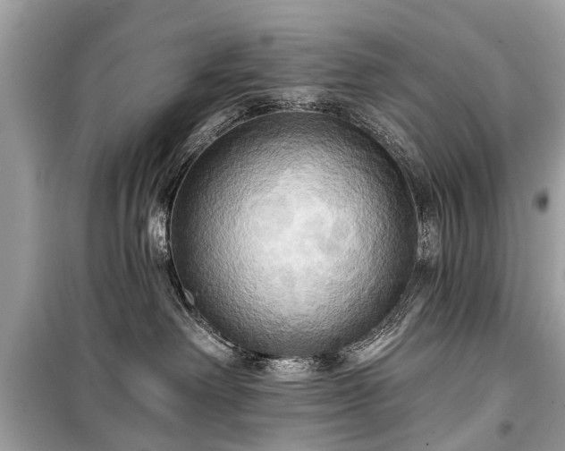 X0000099420238200805161053