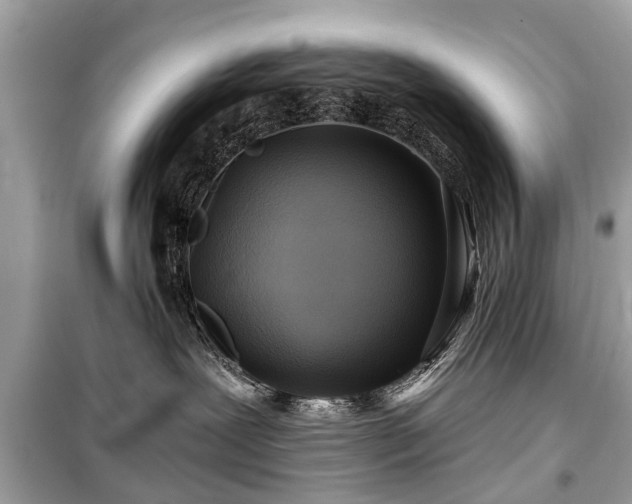 X0000099420239200805161053