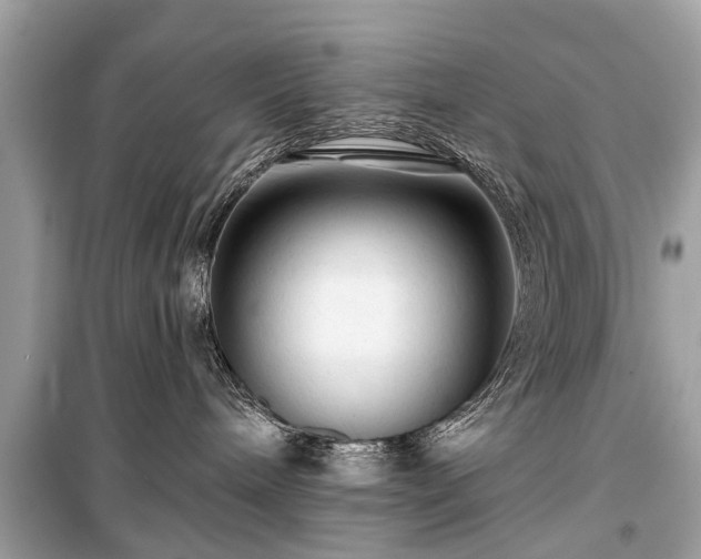 X0000099420240200805161053