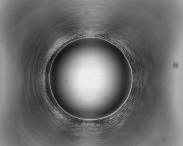 X0000099420242200805161052