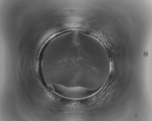 X0000099420243200805161052