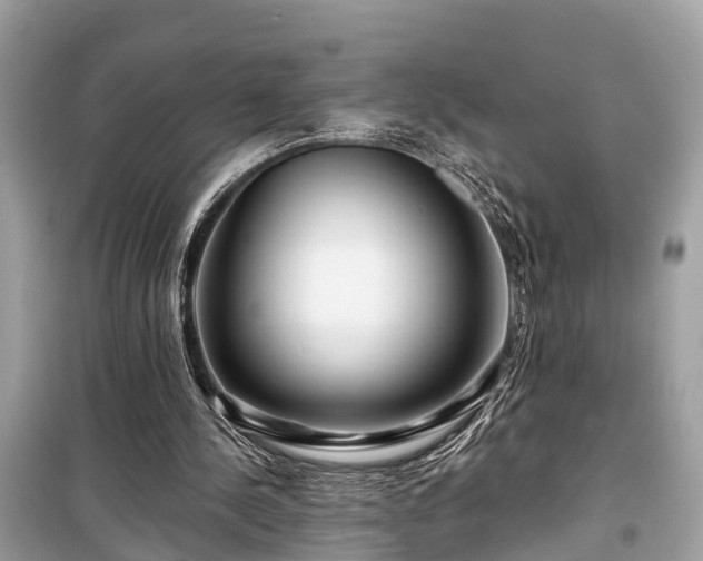 X0000099420244200805161052