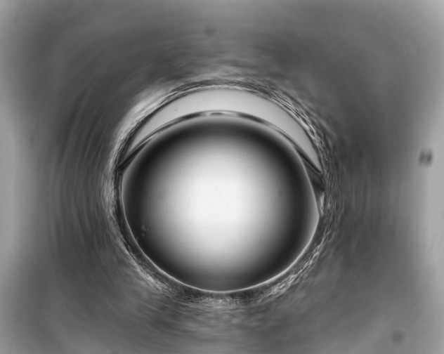 X0000099420245200805161052