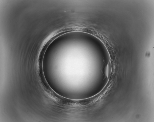 X0000099420246200805161052
