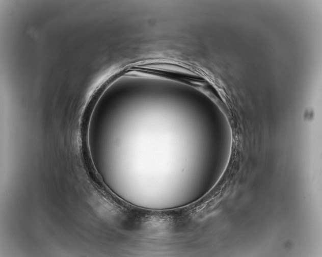 X0000099420248200805161052