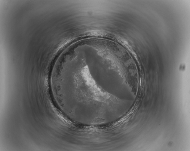 X0000099420249200805161052