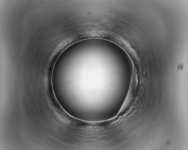 X0000099420250200805161052