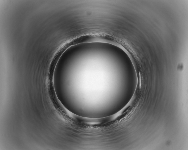 X0000099420252200805161052