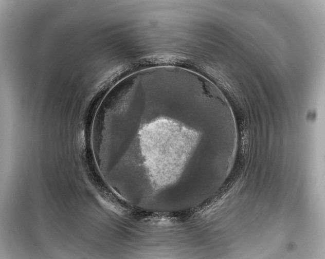 X0000099420254200805161052