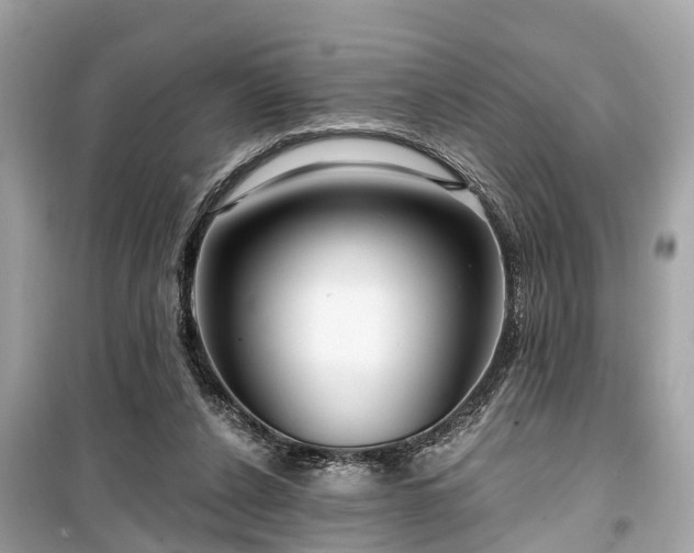 X0000099420256200805161052