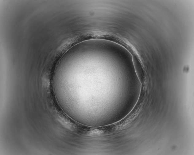 X0000099420257200805161052