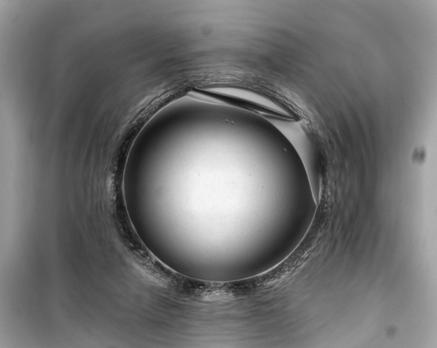 X0000099420258200805161052