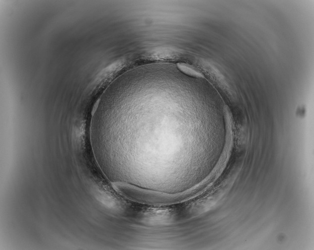 X0000099420260200805161052
