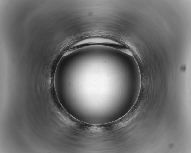X0000099420261200805161052
