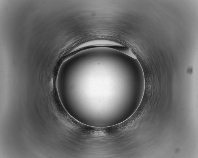 X0000099420262200805161052