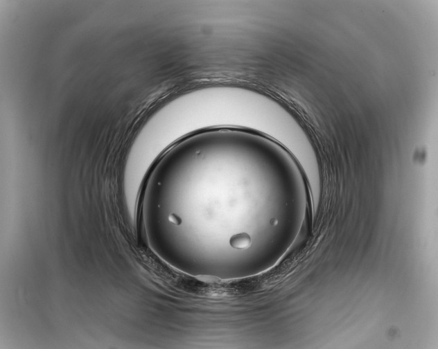 X0000099420264200805161052