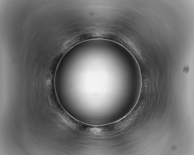 X0000099420265200805161052