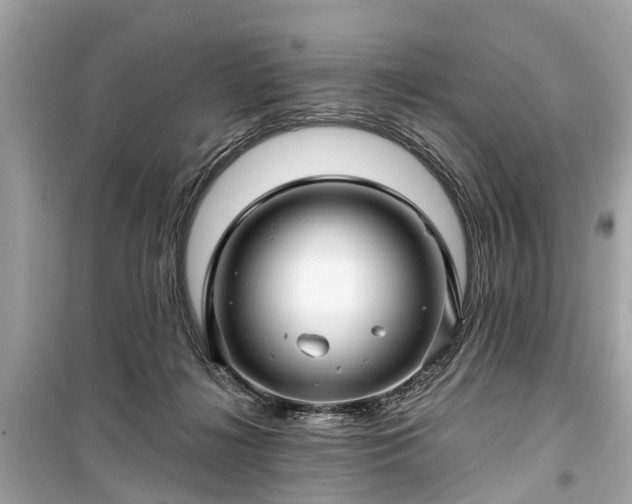 X0000099420268200805161052