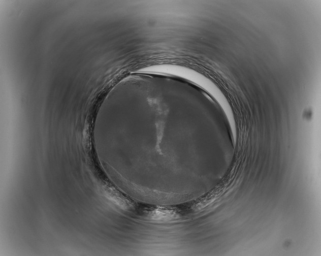 X0000099420270200805161052