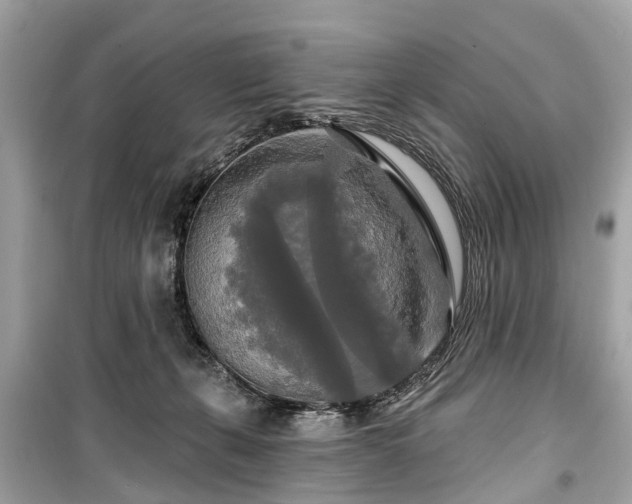 X0000099420271200805161052