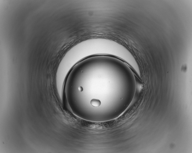 X0000099420272200805161053