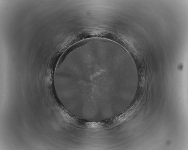 X0000099420273200805161053