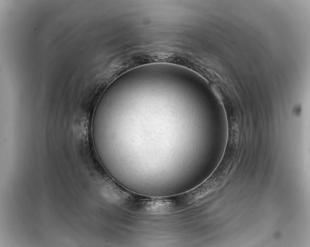 X0000099420274200805161053