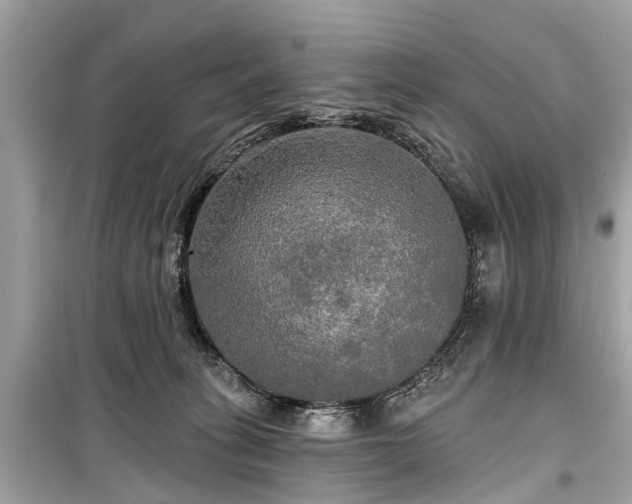 X0000099420275200805161053