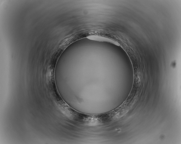 X0000099420276200805161053