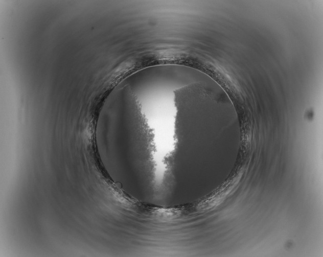X0000099420277200805161053